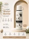 Premium Hot & Cold Insulated Bottle